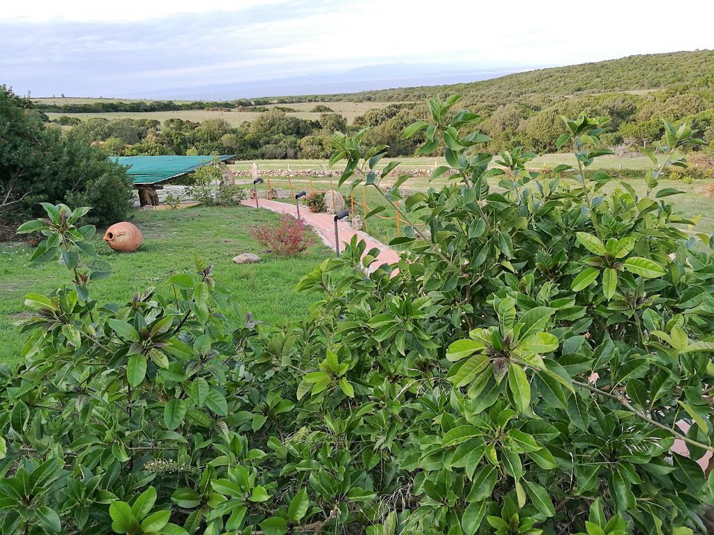 Country House Vignola Mare Aglientu Exterior foto