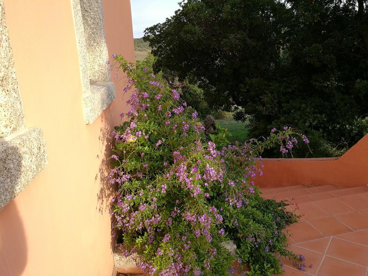 Country House Vignola Mare Aglientu Exterior foto